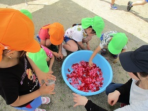 IMG_0198 IMG_0198