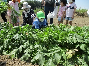 IMG_0221 IMG_0221