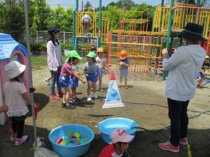 IMG_0245 IMG_0245