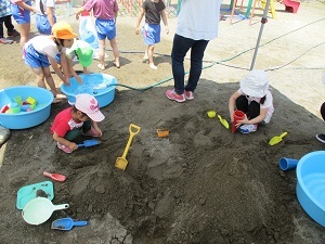 IMG_0247 IMG_0247