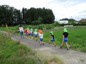 IMG_0375 IMG_0375