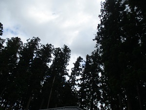 IMG_0379 IMG_0379
