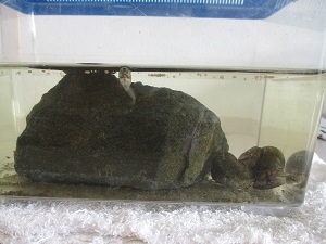 IMG_0381 IMG_0381