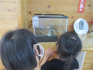 IMG_0367 IMG_0367