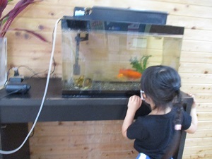 IMG_0368 IMG_0368