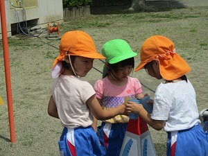 IMG_0408 IMG_0408