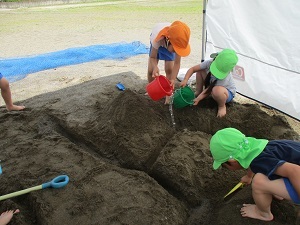 IMG_0410 IMG_0410