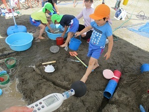 IMG_0417 IMG_0417