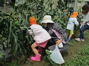 IMG_0429 IMG_0429