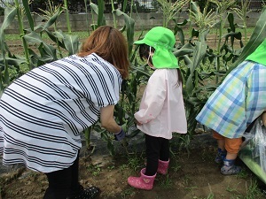 IMG_0434 IMG_0434