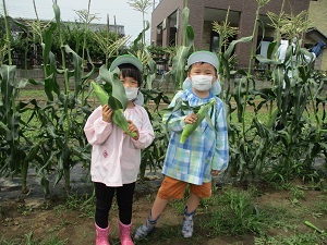 IMG_0435 IMG_0435