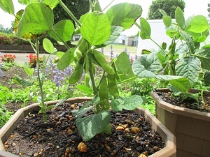 IMG_0448 IMG_0448