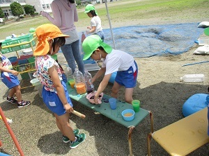IMG_0452 IMG_0452
