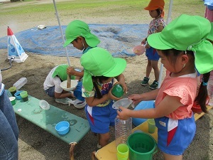 IMG_0455 IMG_0455