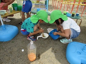 IMG_0456 IMG_0456