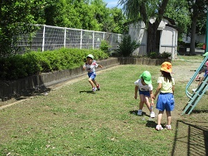 IMG_0478 IMG_0478