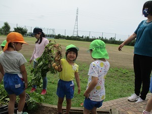 IMG_0480 IMG_0480