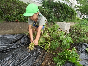 IMG_0483 IMG_0483