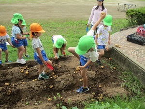 IMG_0489 IMG_0489