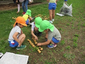 IMG_0500 IMG_0500