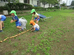 IMG_0505 IMG_0505
