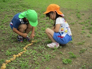 IMG_0510 IMG_0510