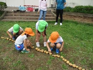 IMG_0511 IMG_0511