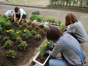 IMG_0542 IMG_0542