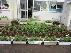 IMG_0555 IMG_0555