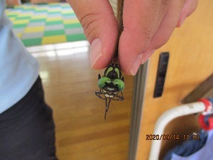 IMG_1521