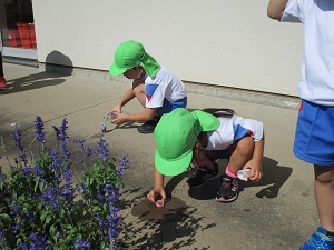 IMG_2057 IMG_2057
