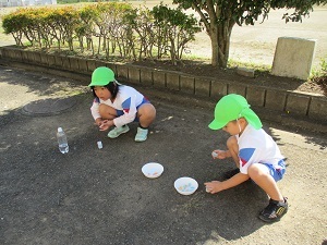 IMG_2062(3) IMG_2062(3)