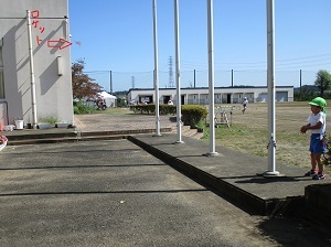 IMG_2067 IMG_2067