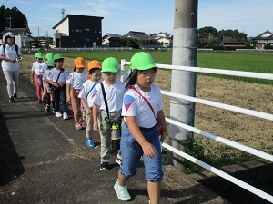 IMG_2095 IMG_2095