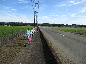 IMG_2096 IMG_2096