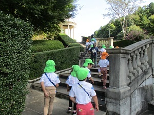 IMG_2098 IMG_2098