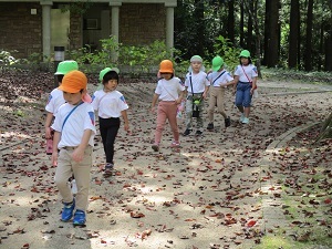 IMG_2119 IMG_2119