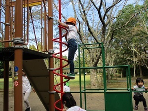 IMG_2131 IMG_2131
