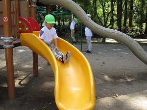 IMG_2141 IMG_2141
