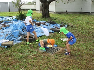 IMG_2172 IMG_2172