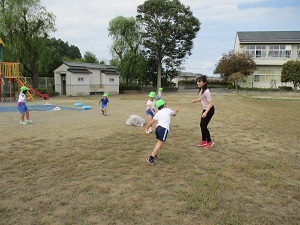 IMG_2175 IMG_2175