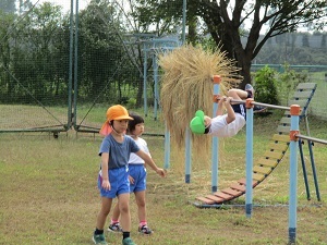 IMG_2173 IMG_2173