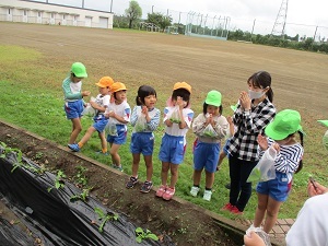 IMG_2213 IMG_2213