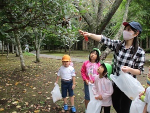 IMG_2254 IMG_2254