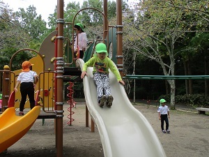 IMG_2274 IMG_2274