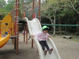IMG_2277 IMG_2277