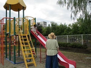 IMG_2295 IMG_2295