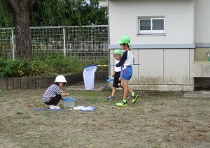 IMG_2299 IMG_2299