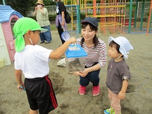 IMG_2306 IMG_2306