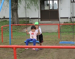 IMG_2312 IMG_2312